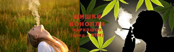 PSILOCYBIN Горно-Алтайск