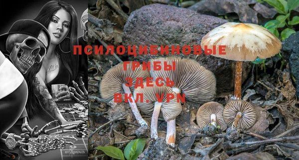 спиды Медногорск