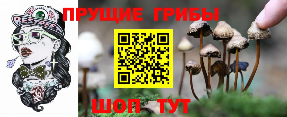 цена   Вход с VPN  Изобильный  Псилоцибиновые грибы Cubensis  Псилоцибиновые грибы Psilocybine cubensis 